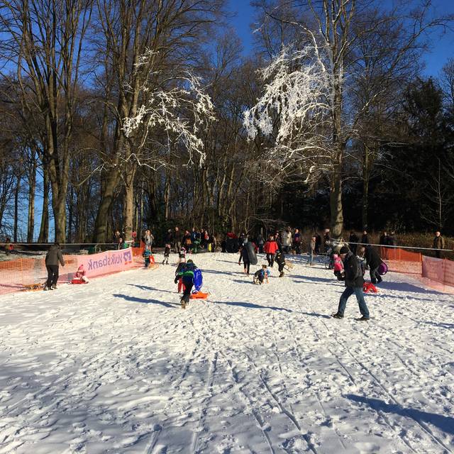 Am Hohenstein ist eine Rodelbahn aufgebaut.