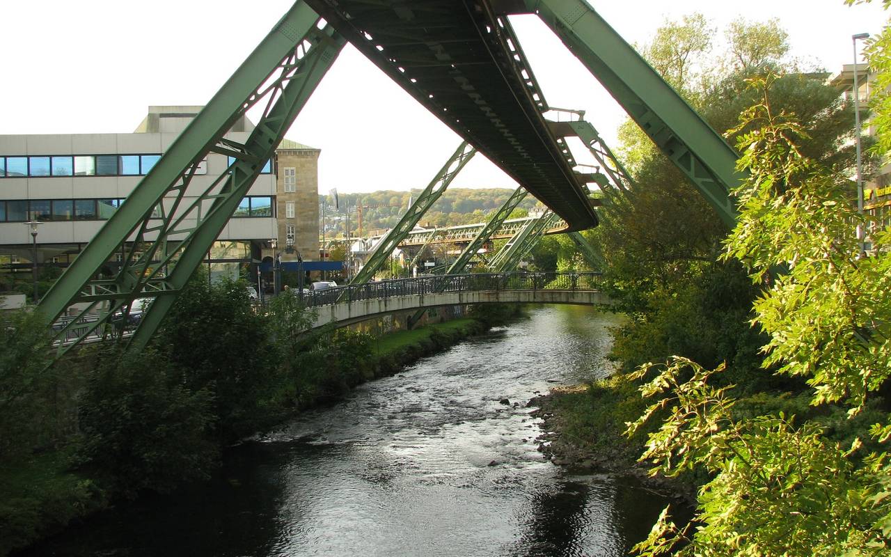 8.000 junge Lachse werden in der Wupper ausgesetzt.