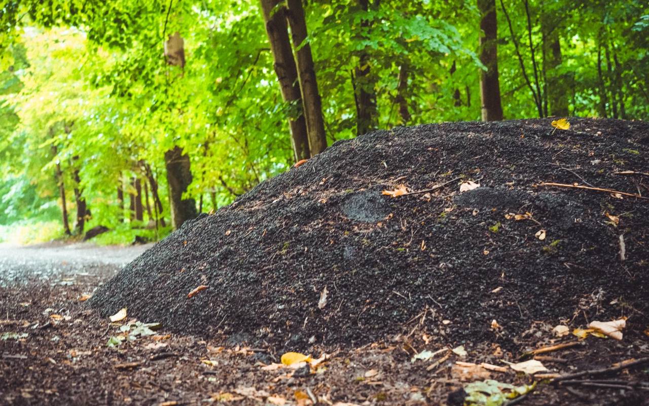 15 Tonnen Asphalt liegen im Wald