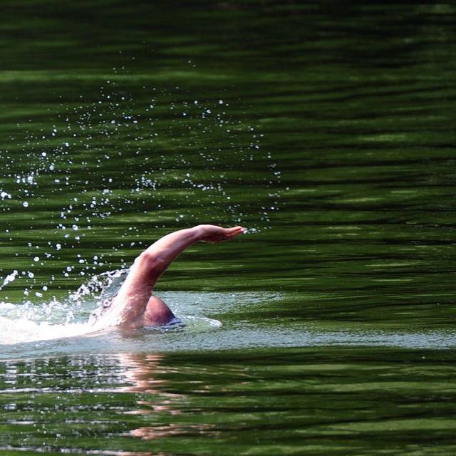 Mann schwimmt über den Plötzensee