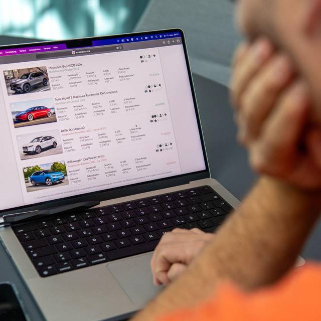 Ein Mann blickt auf die Webseite ev-database.org