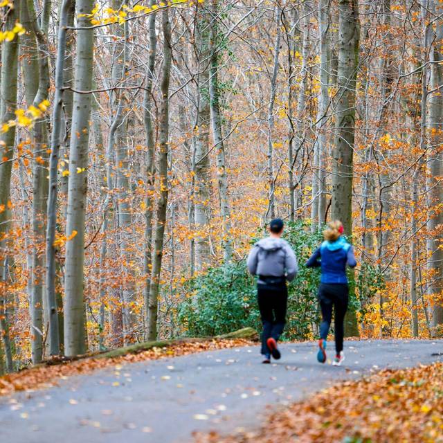 Wetter in Nordrhein-Westfalen