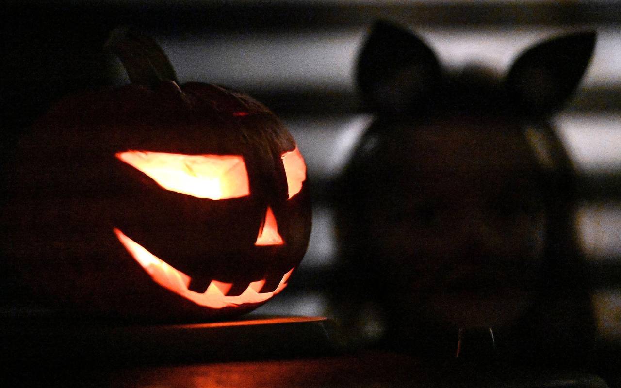 Halloween in Göttingen