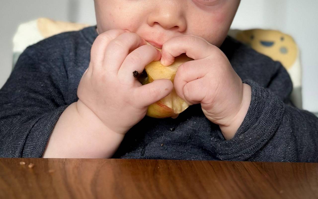 Ein sieben Monate altes Babz isst einen Apfel