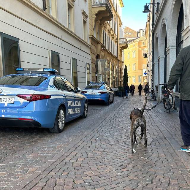 Hunde in Bozen