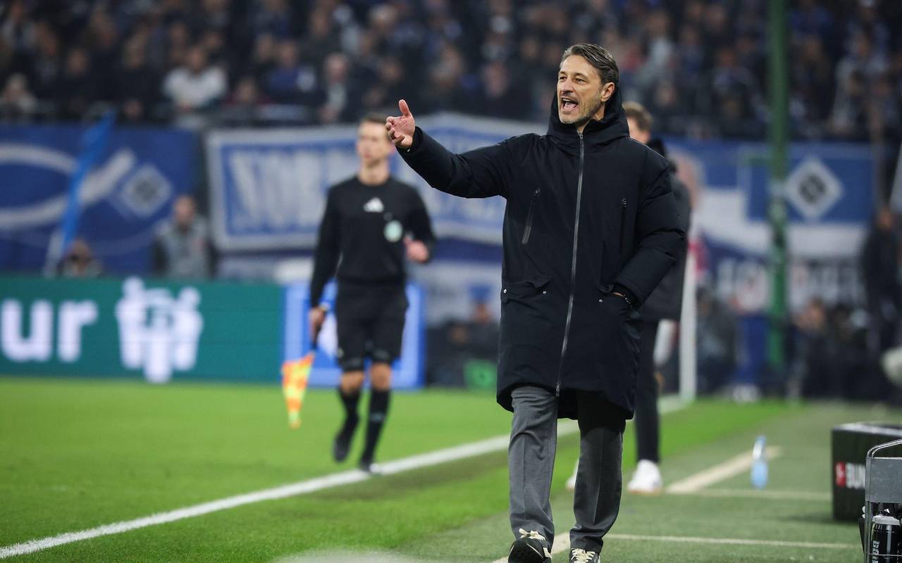 Hamburger SV - Borussia Dortmund