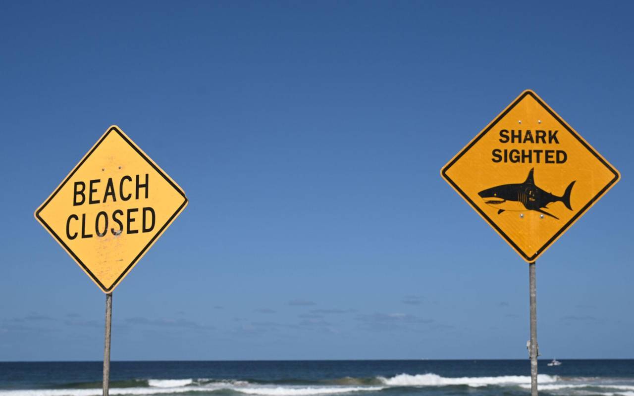 Tödlicher Hai-Angriff vor australischer Ostküste