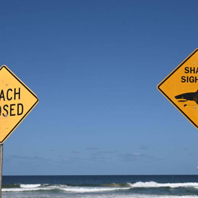 Tödlicher Hai-Angriff vor australischer Ostküste