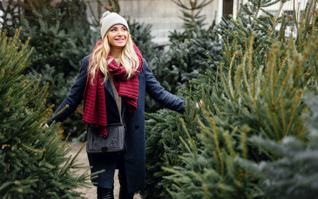 Weihnachtsbaum: Lieber echt oder doch besser künstlich?