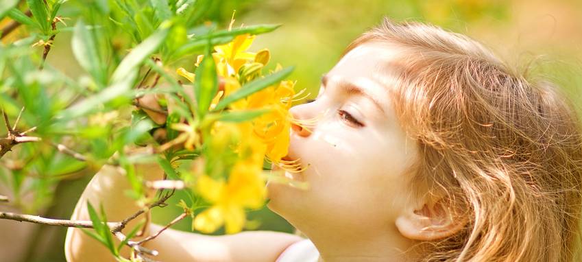 Gevelsberg startet Garten-Wettbewerb