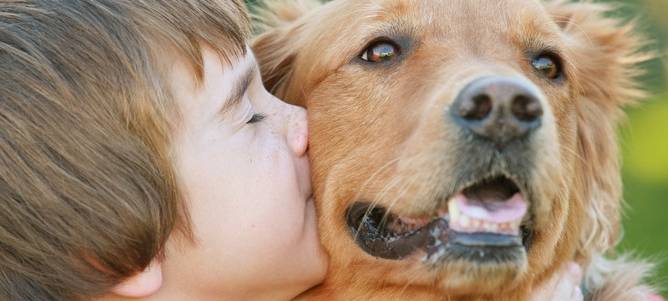 Freilaufflächen für Hunde Thema im Ausschuss