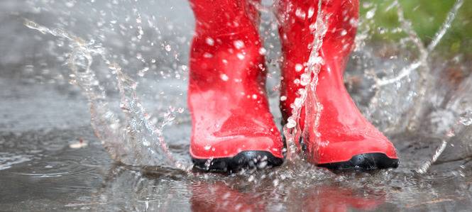 Frühjahr (schon) wieder zu nass