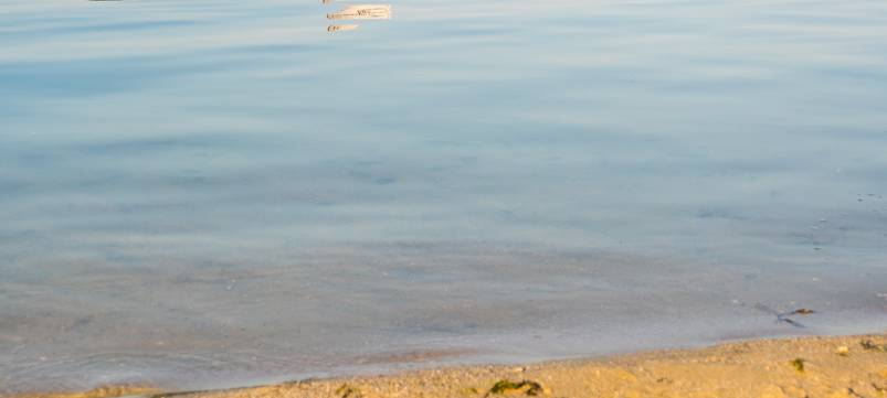 Geldsegen für DLRG Hattingen-Süd