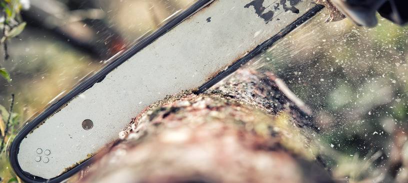 Holthauser Talstraße ab heute gesperrt