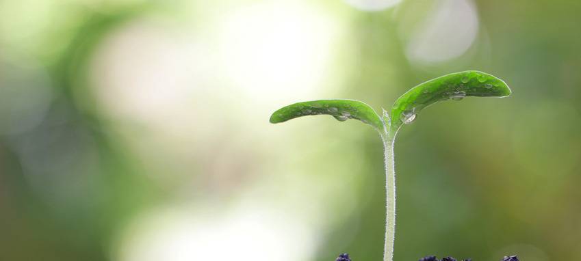 Betriebe im Kreis investieren wieder mehr in Umweltschutz