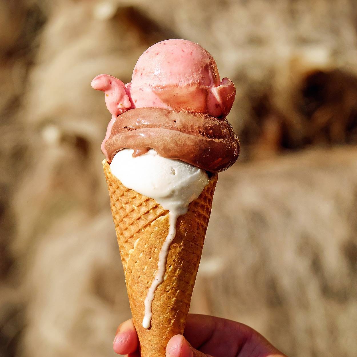 Hörnchen mit Eis.