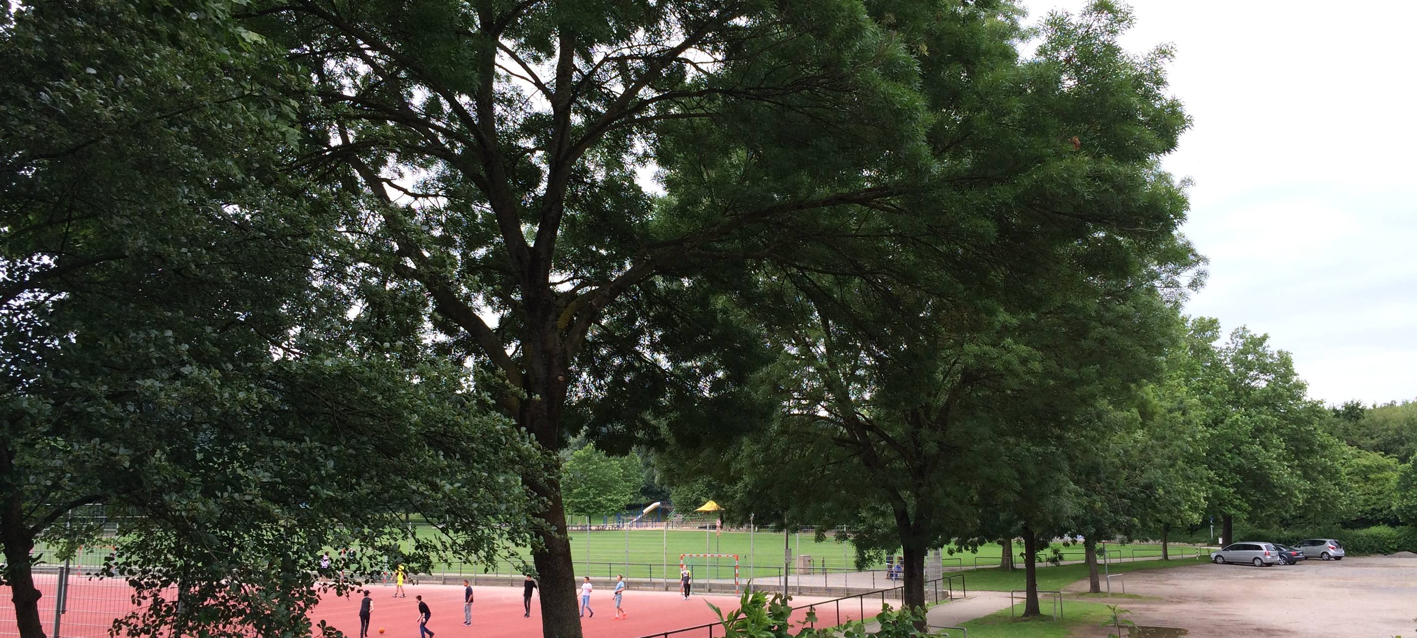 Geld für Sportvereine