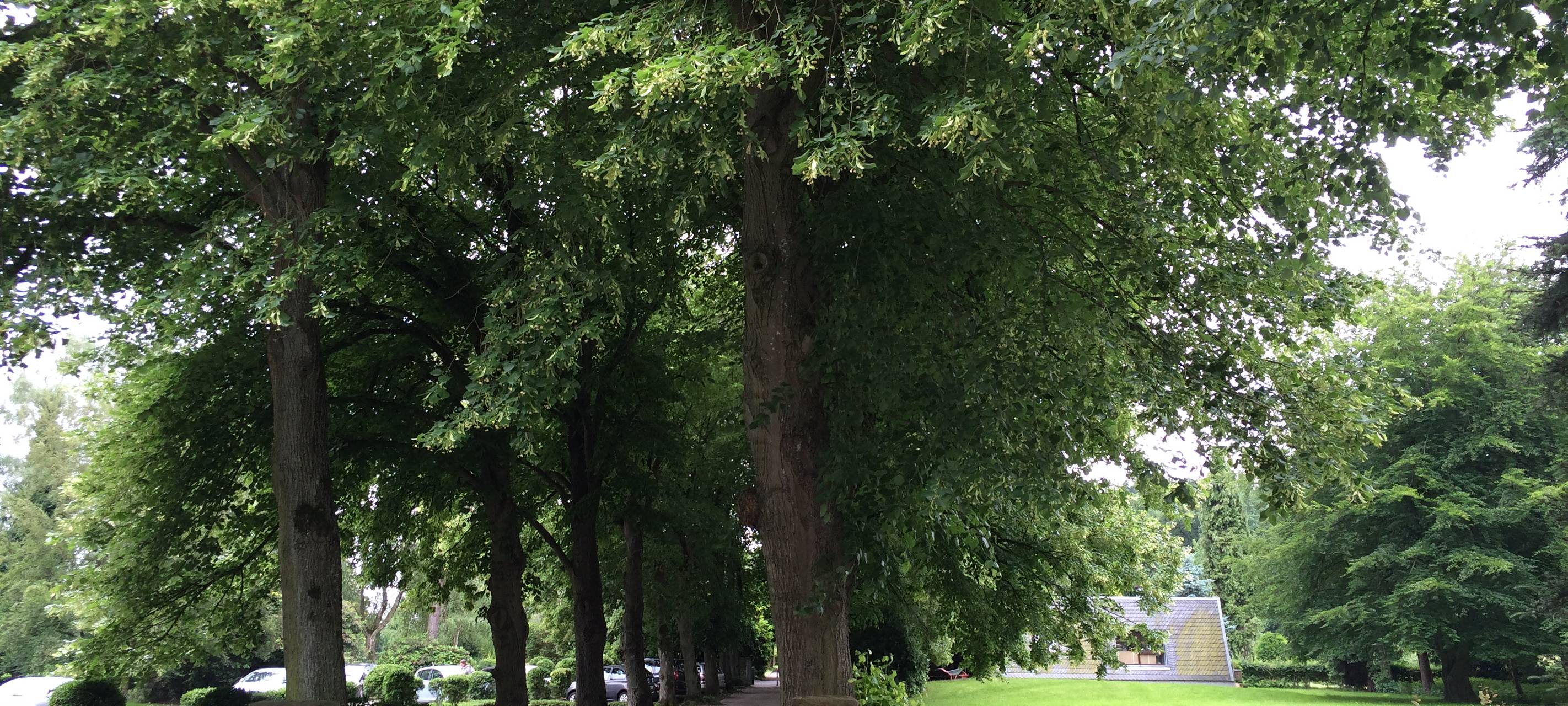 Witten lockert Regeln für Beisetzungen