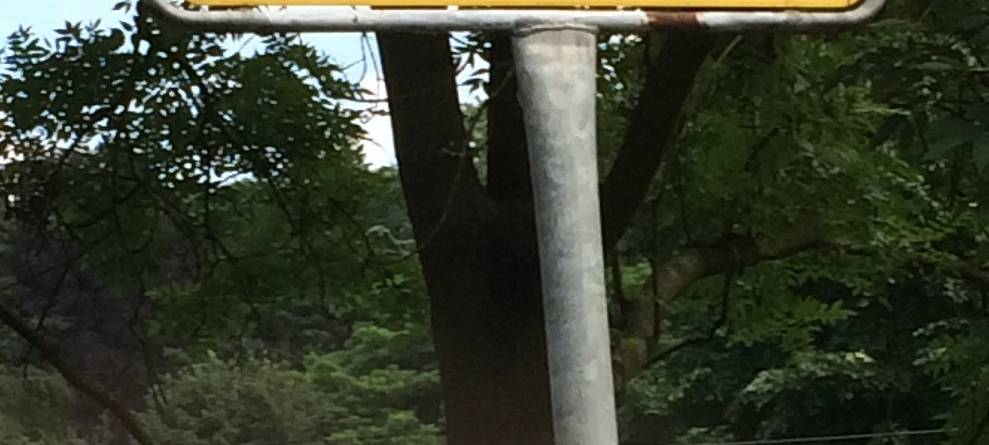 Witten: Demo gegen Querdenker