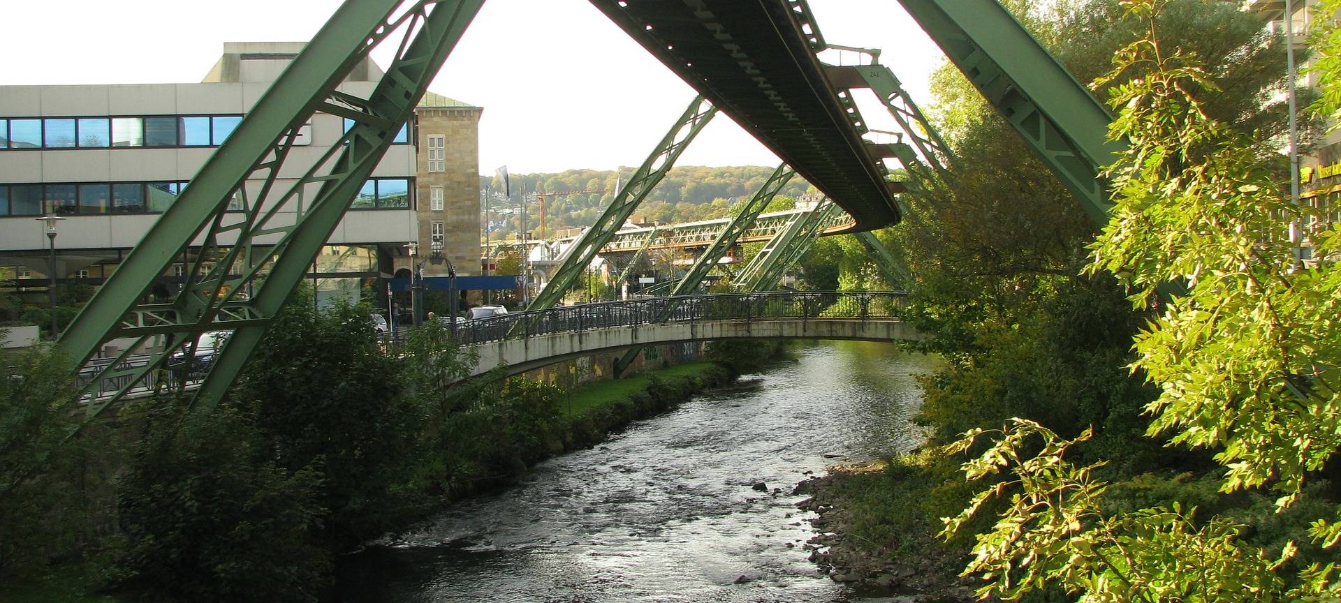 8.000 junge Lachse werden in der Wupper ausgesetzt.