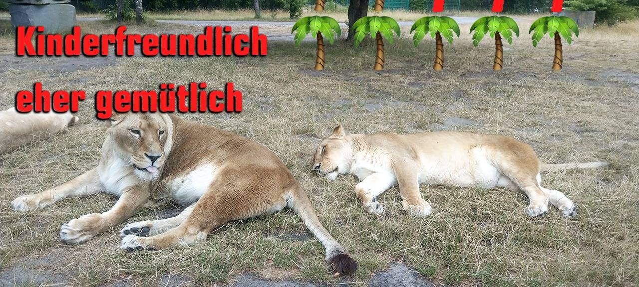 Ferien zu Hause - Unsere Ausflugstipps