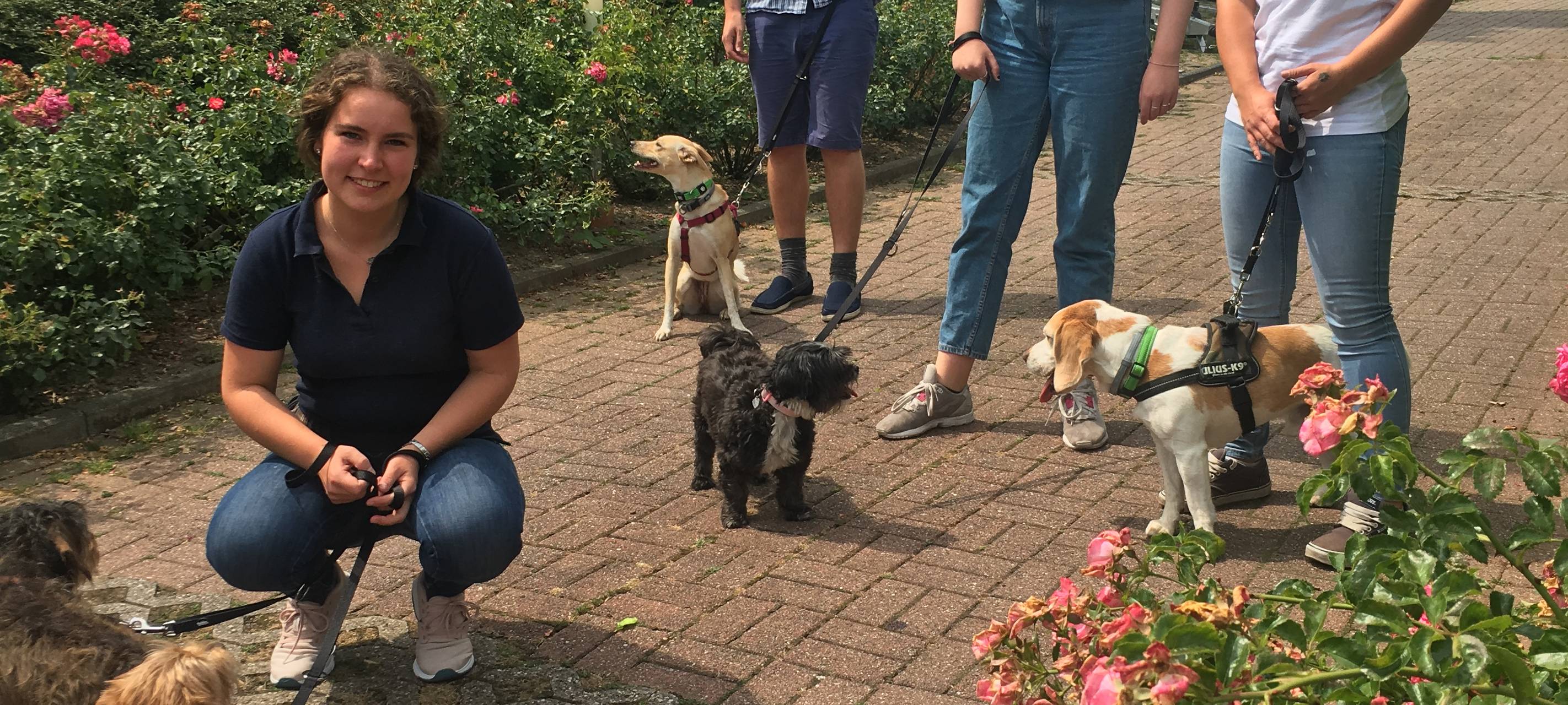 Tierbetreuung im Urlaub