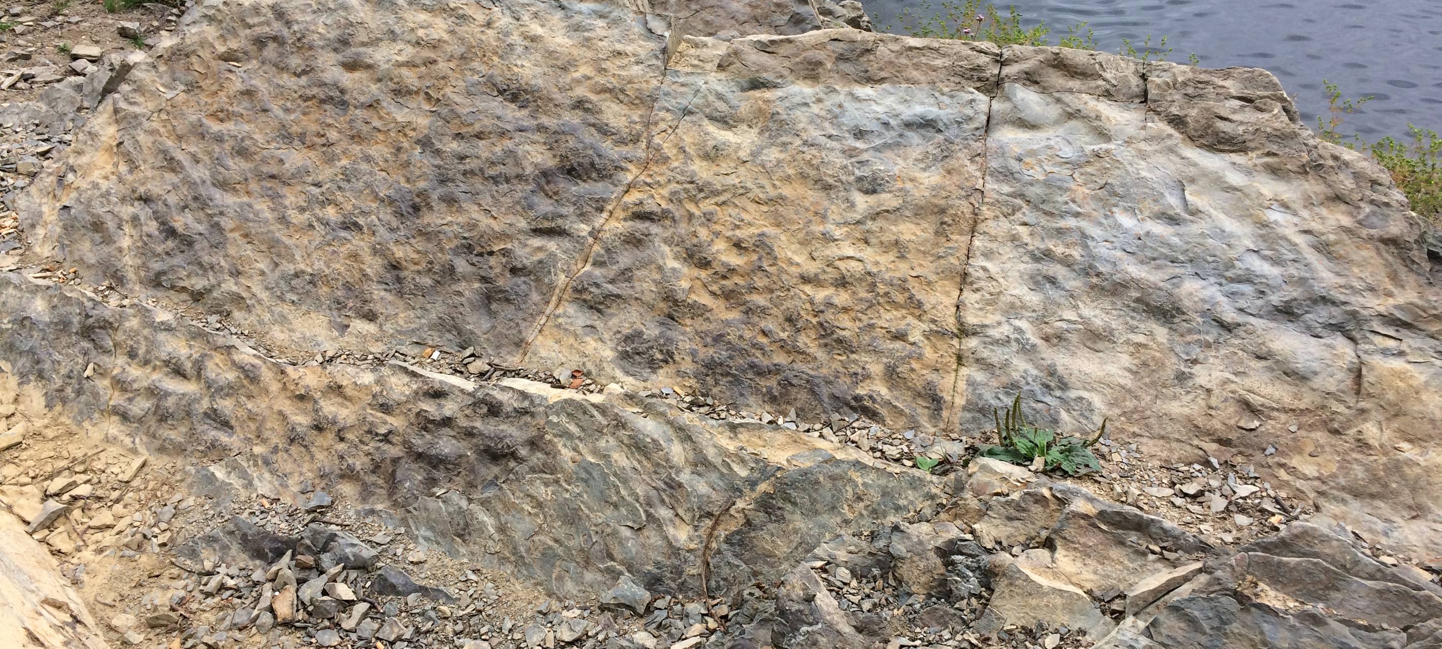 Fossiler Fund an der Glörtalsperre