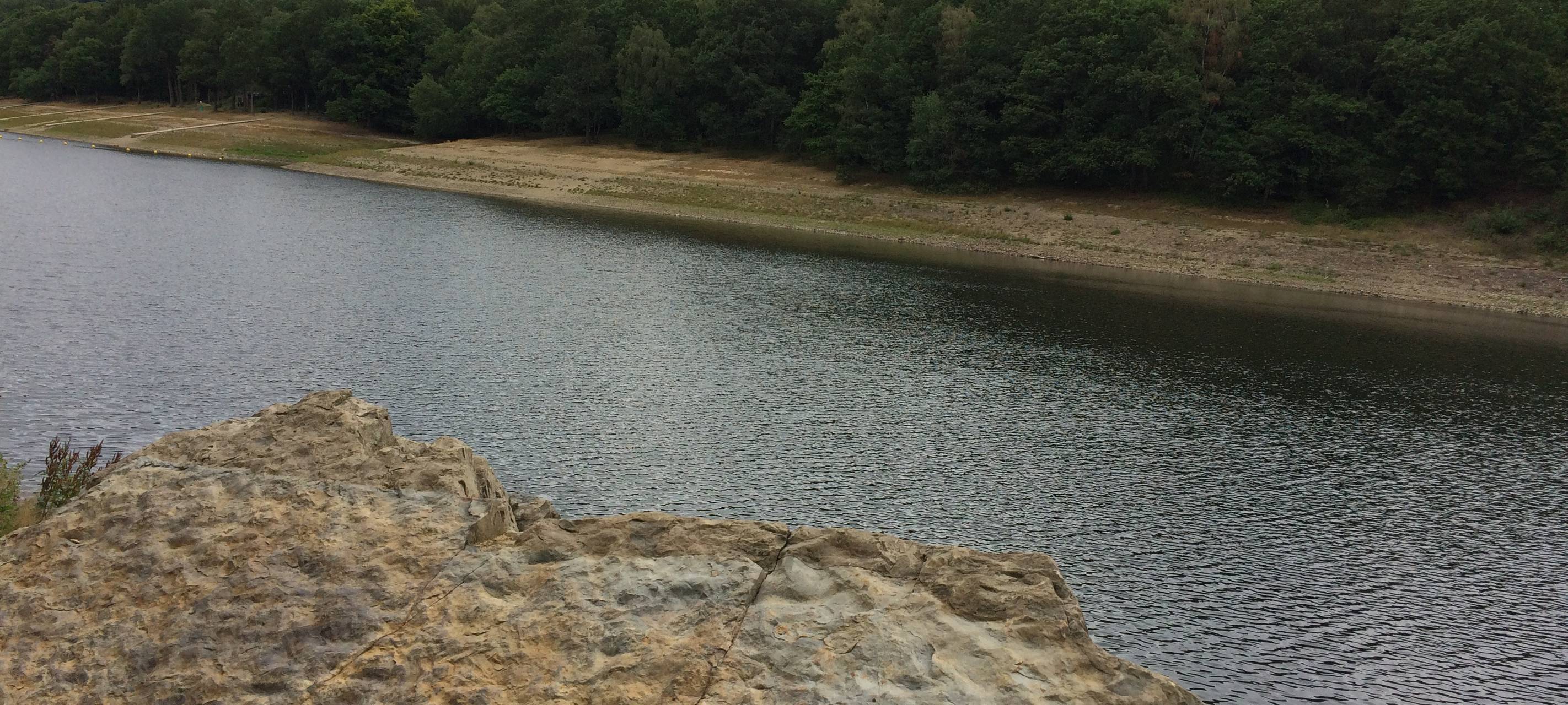 Fossiler Fund an der Glörtalsperre