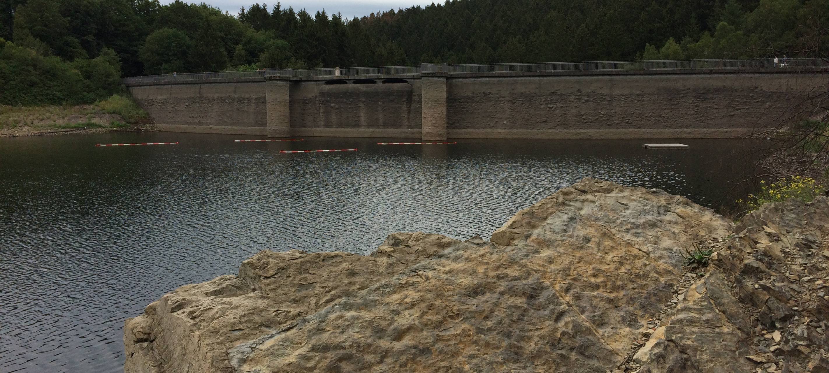 Fossiler Fund an der Glörtalsperre