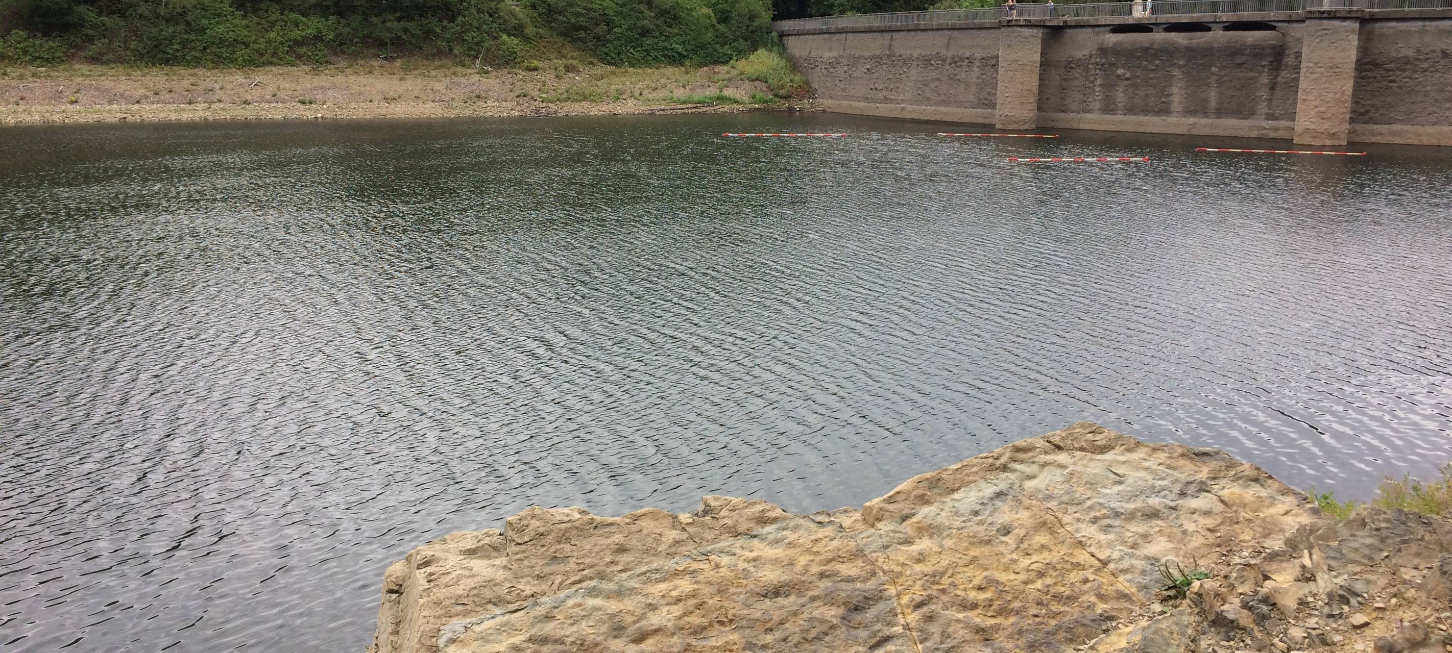 Fossiler Fund an der Glörtalsperre