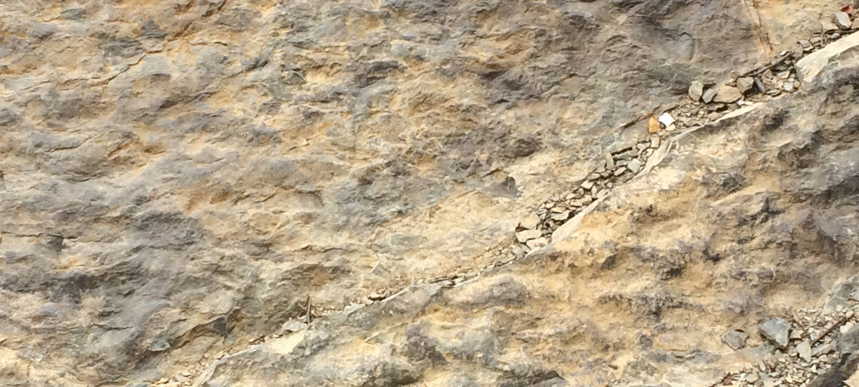 Fossiler Fund an der Glörtalsperre