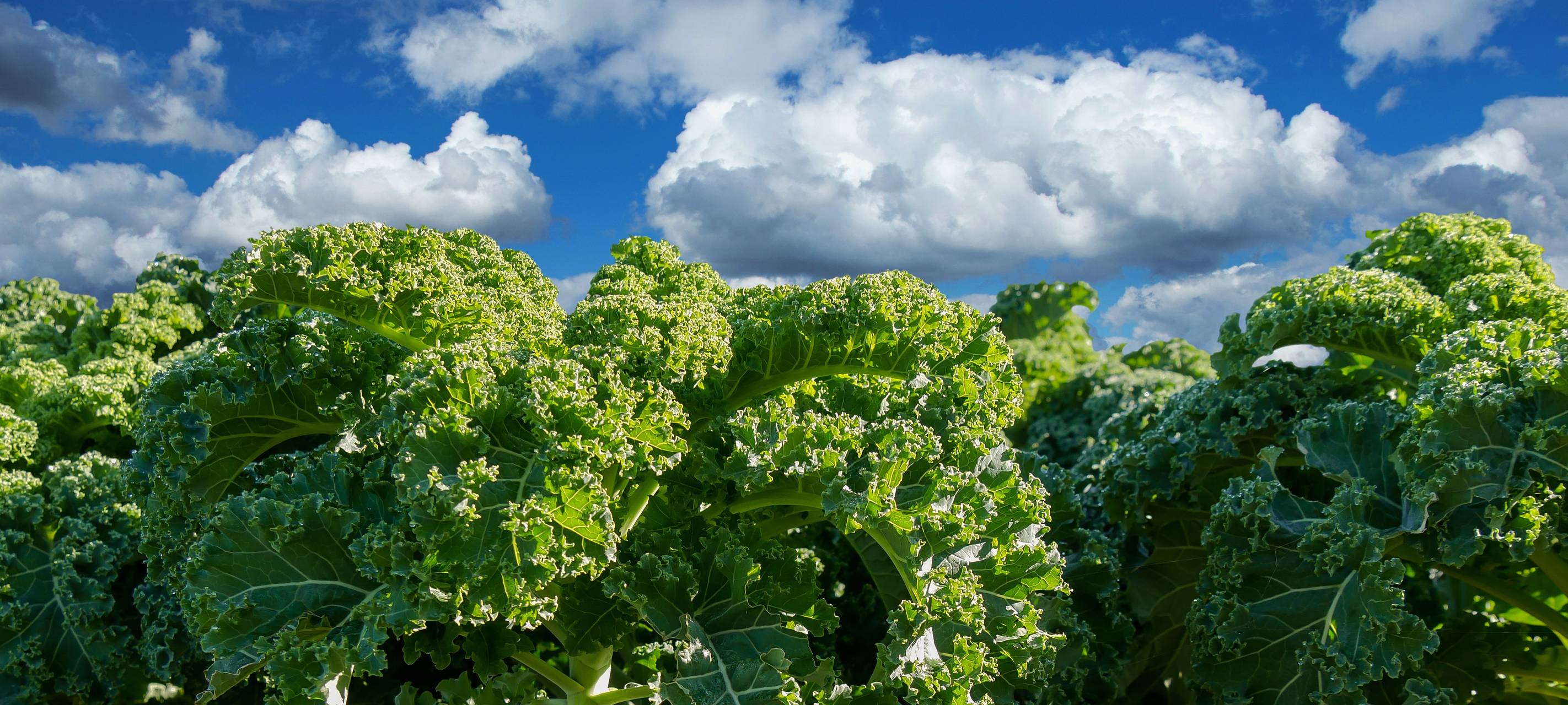 Schadstoffmessungen am Gewerbegebiet in Ennepetal-Oelkinghausen