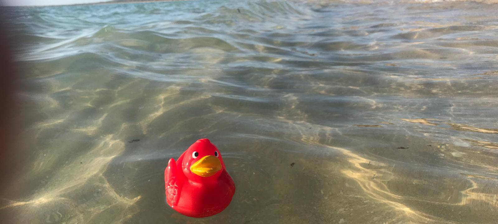 Eine Reise um die Welt