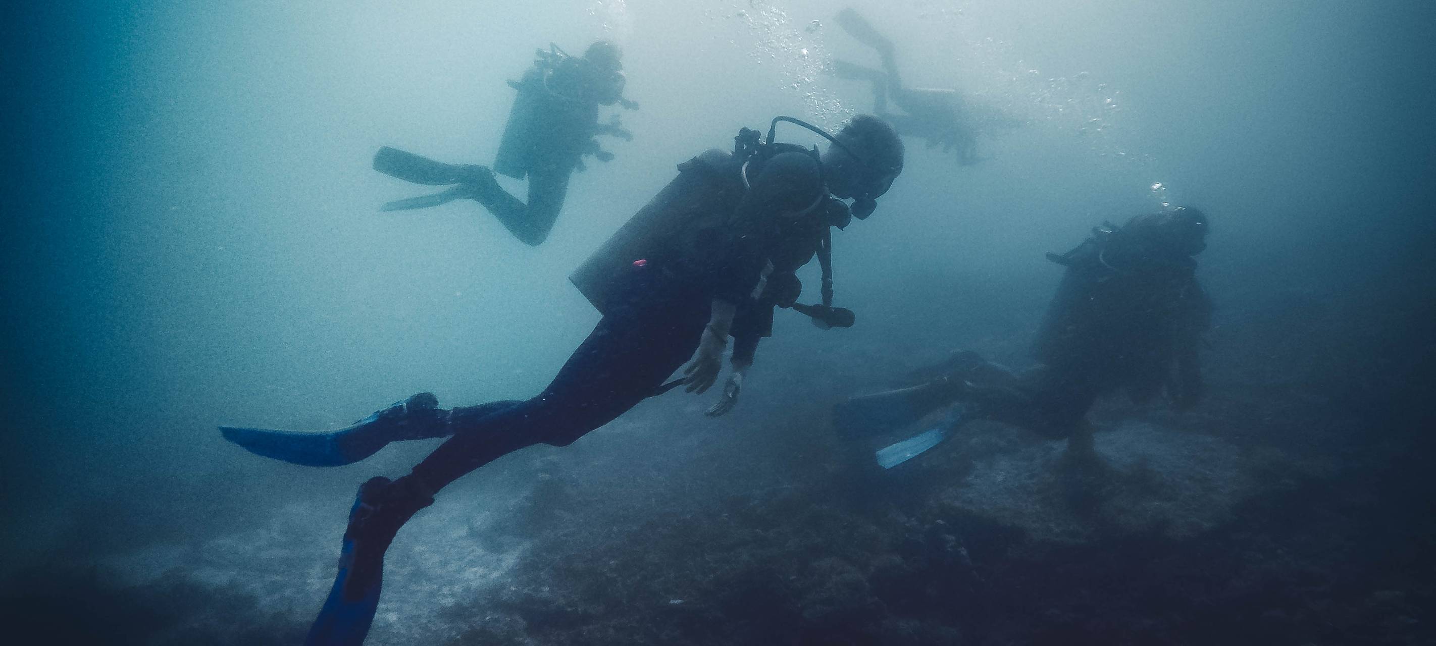 Eine Reise um die Welt