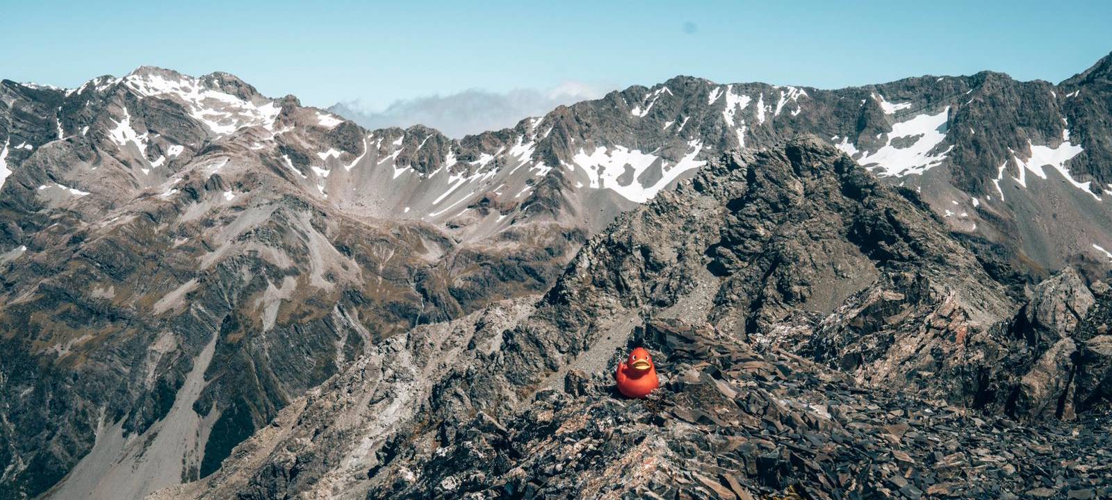 Eine Reise um die Welt