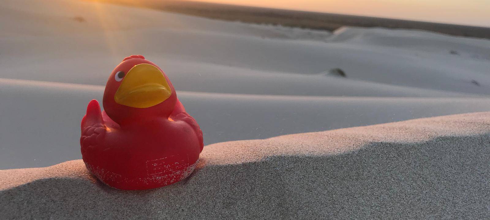 Eine Reise um die Welt