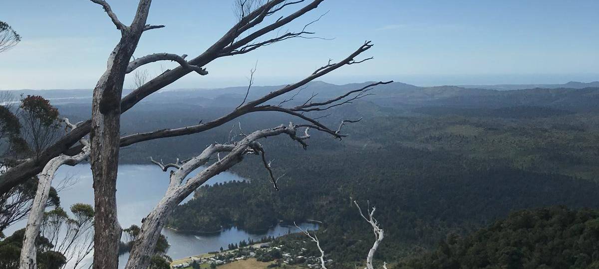 Eine Reise um die Welt