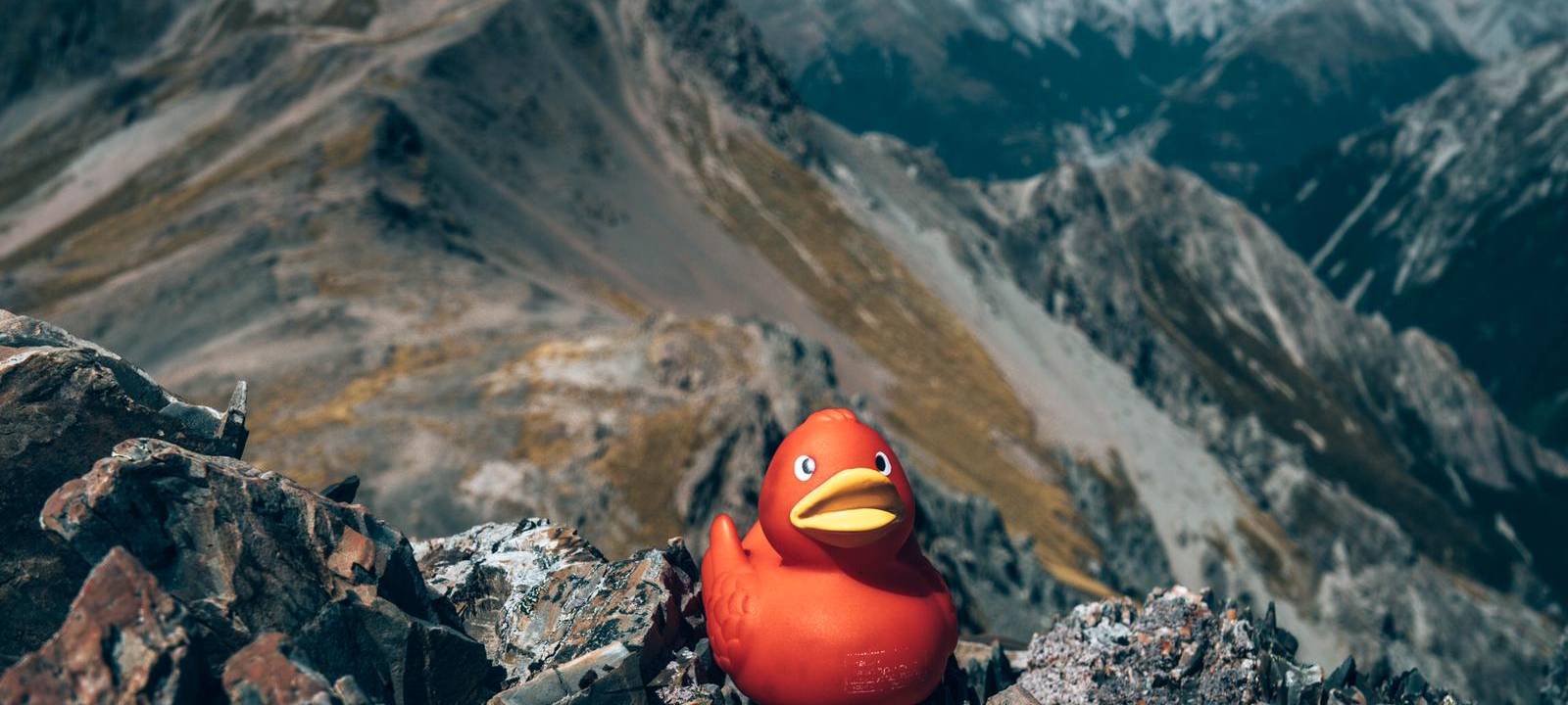 Eine Reise um die Welt