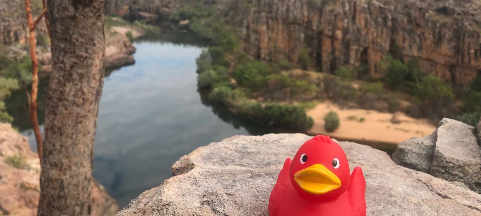 Eine Reise um die Welt