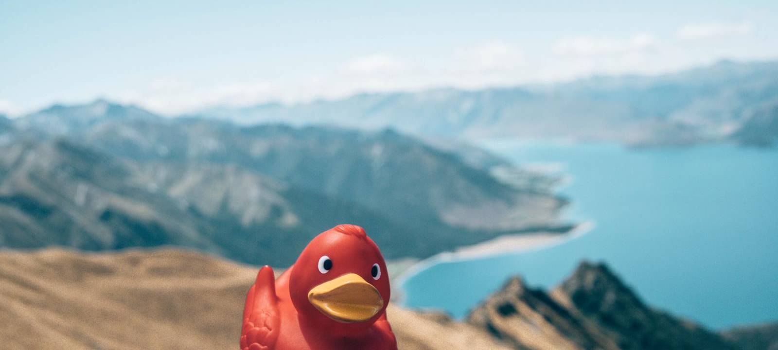 Eine Reise um die Welt