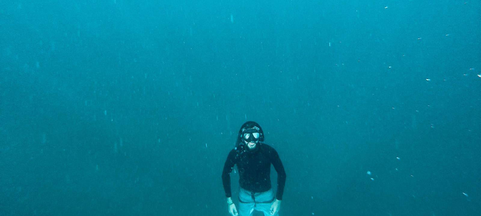 Eine Reise um die Welt