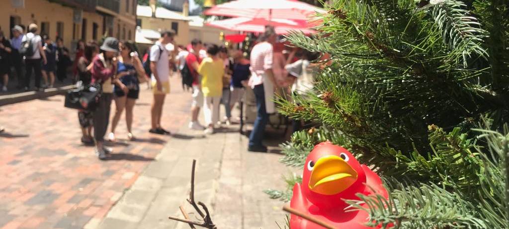 Eine Reise um die Welt