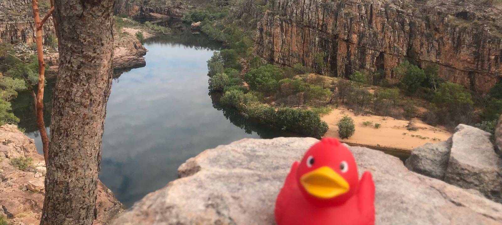 Eine Reise um die Welt