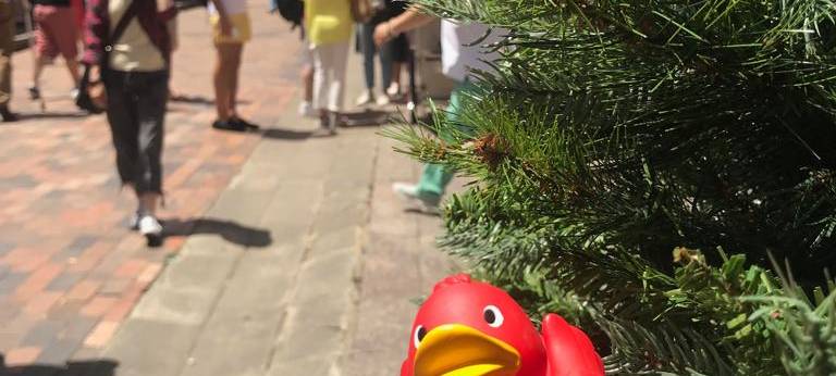 Eine Reise um die Welt