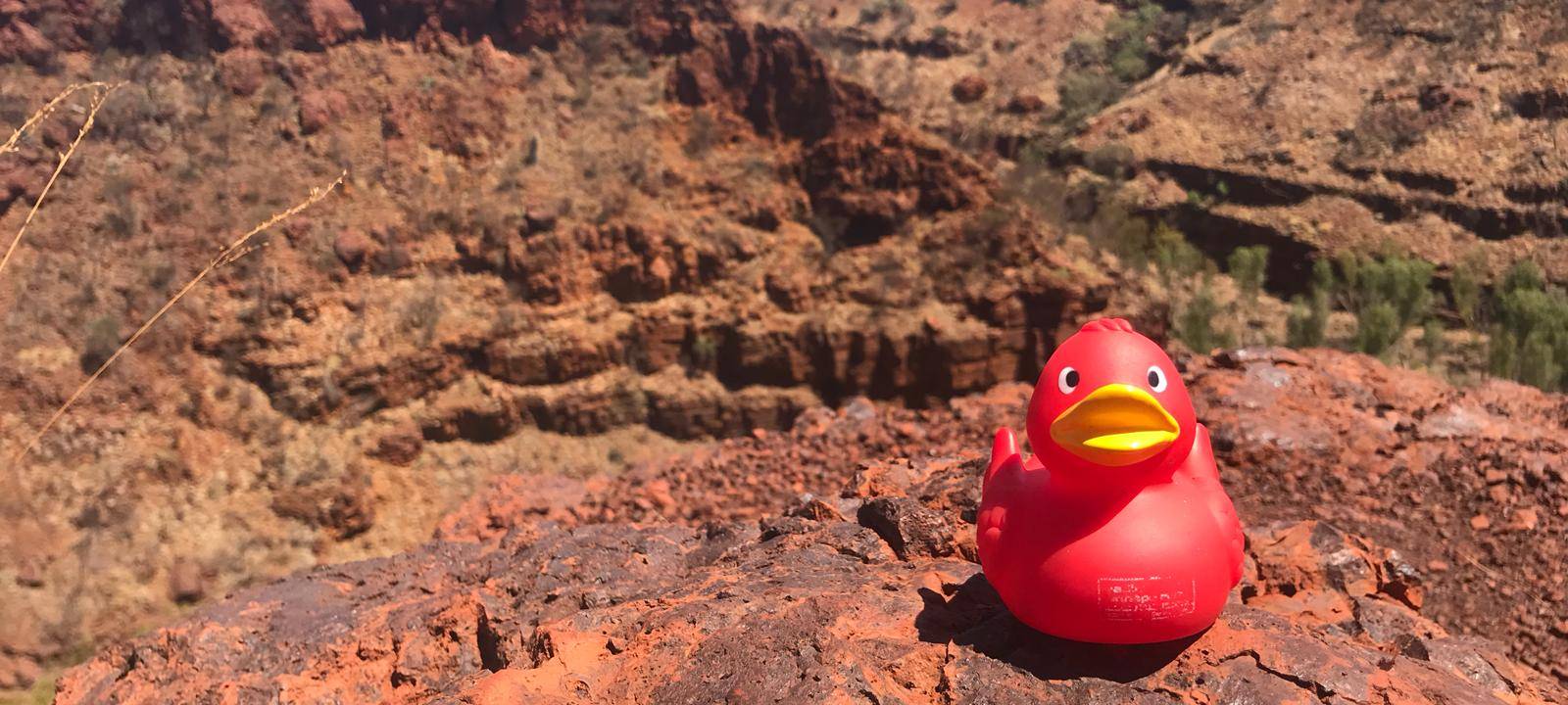 Eine Reise um die Welt