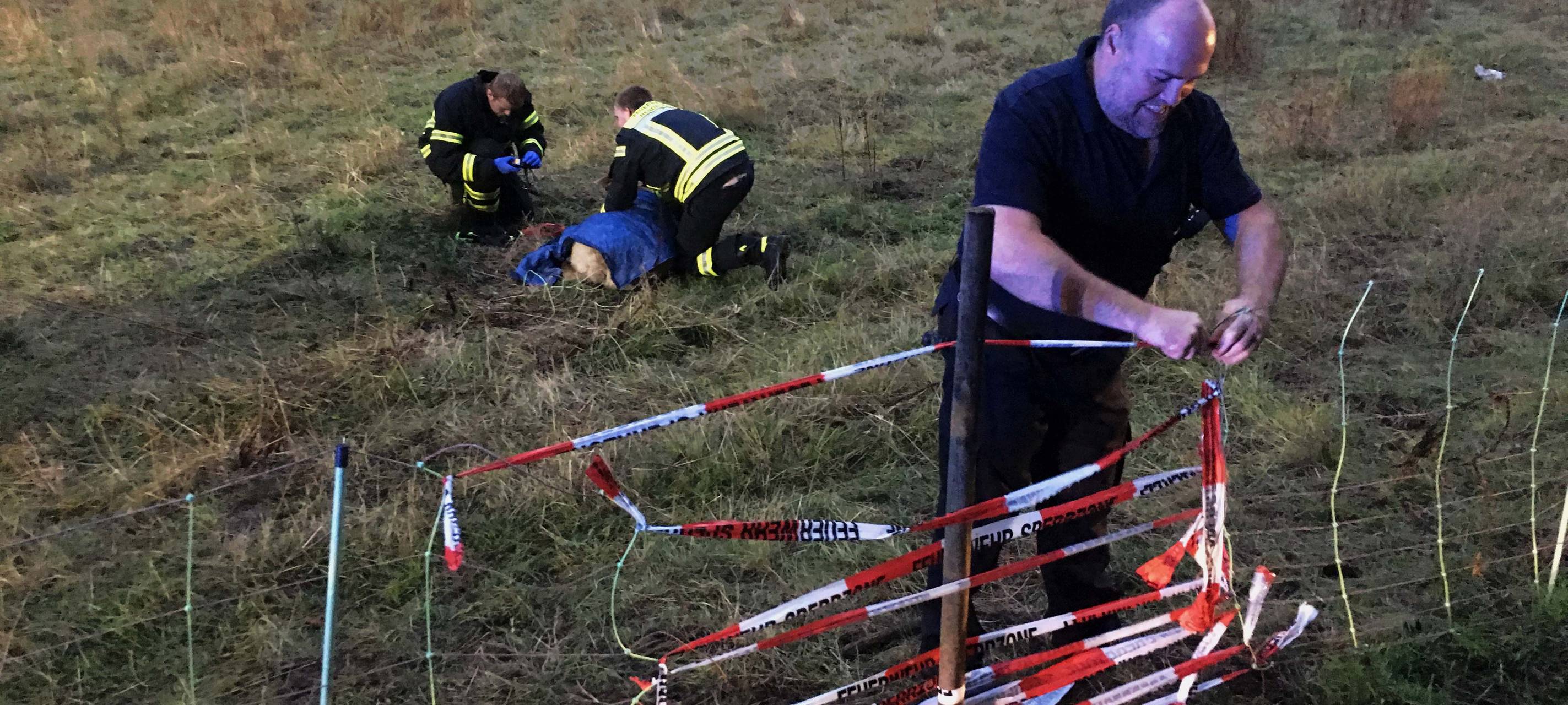 Feuerwehr rettet Schafherde