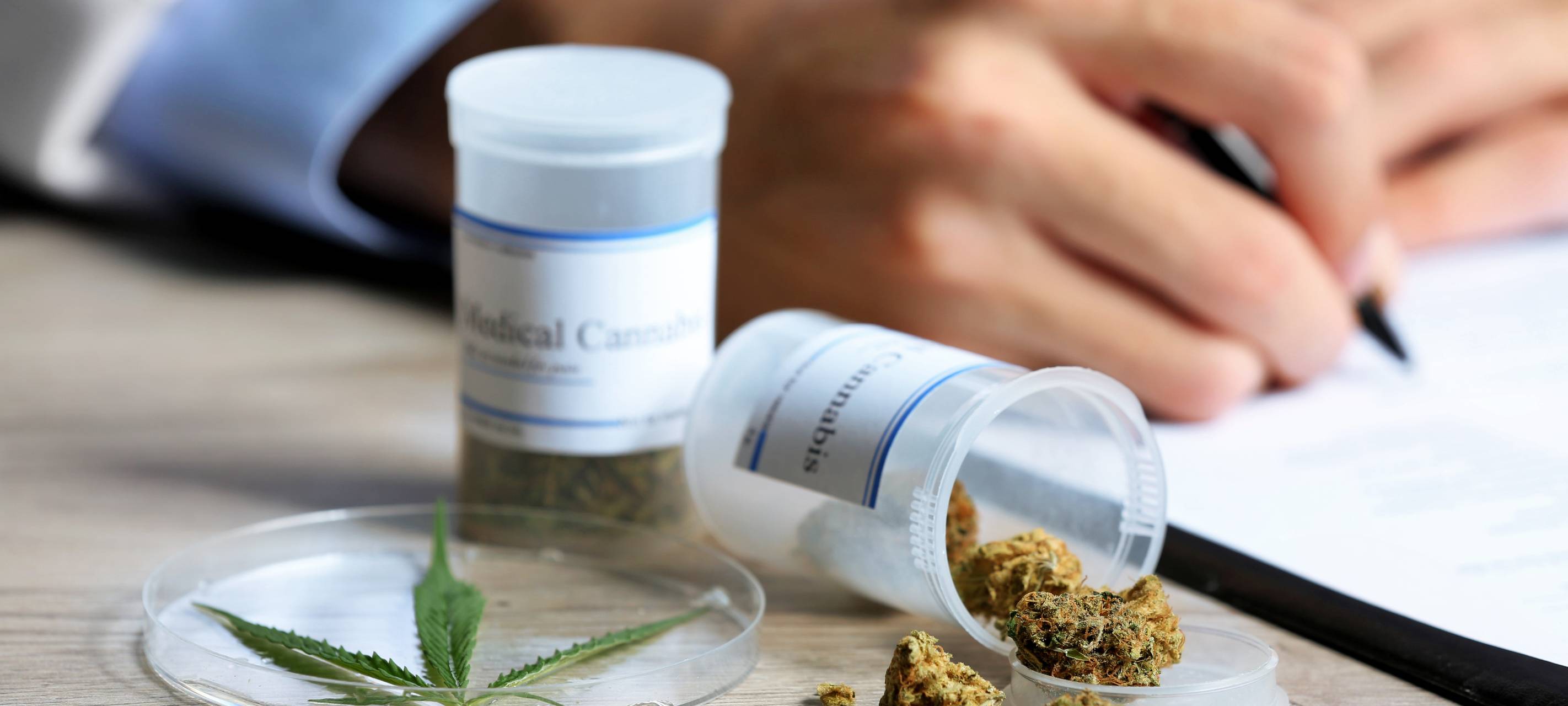 Erste Cannabis-Social-Clubs bei uns