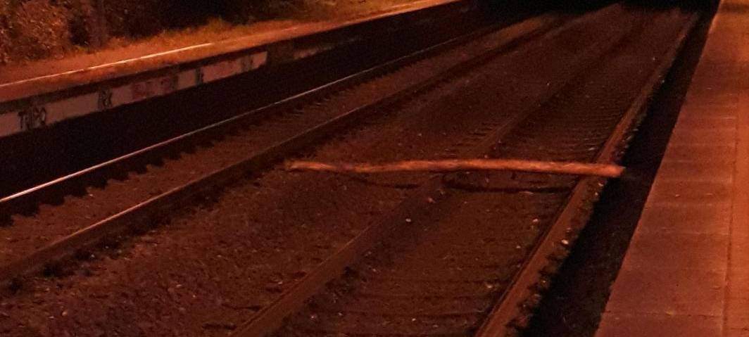 Baumstamm auf S-Bahn-Strecke Witten-Dortmund gelegt