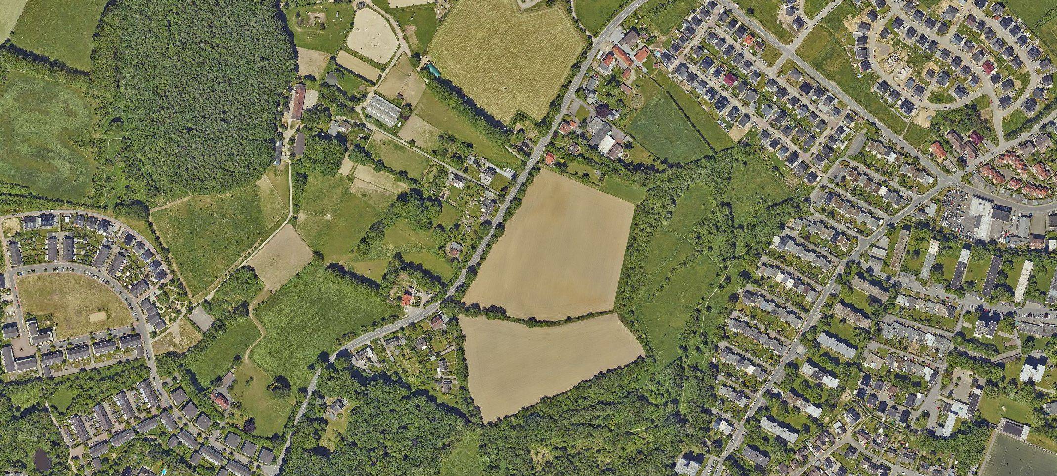 Kein Bombenfund am Büttenberg