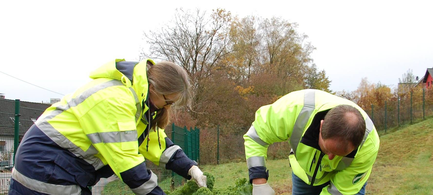 PCB-Belastung in Ennepetal